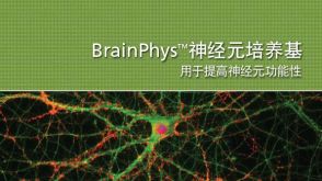 BrainPhys&trade;神经元培养基用于提高神经元功能性