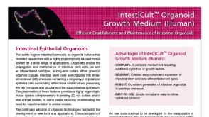 IntestiCult™ Organoid Growth Medium (Human)