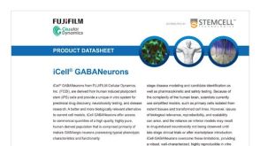 CDI iCell GABANeurons