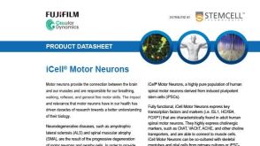 CDI iCell® Motor Neurons Data Sheet