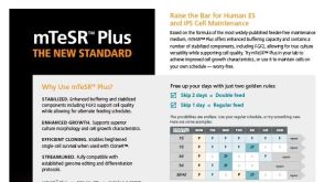 mTeSR™ Plus Stabilized Feeder-Free Media