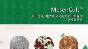 MesenCult™用于分选、培养和分化间充质干细胞的高性能系统