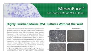 MesenPure™ for Enriched Mouse Mesenchymal Stem Cell (MSC) Cultures