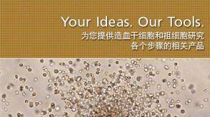 Your Ideas. Our Tools. 为您提供造血干细胞和祖细胞研究 各个步骤的相关产品