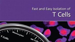Fast and Easy Isolation of T Cells