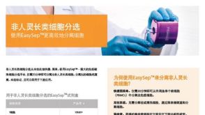 非人灵长类细胞分选