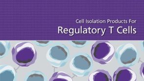 Cell Isolation Products for Regulatory T Cells