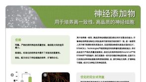 神经添加物用于培养高一致性、高品质的神经细胞