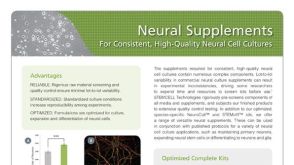 神经添加物用于培养高一致性、高品质的神经细胞