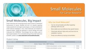 Small Molecules for Cancer Research