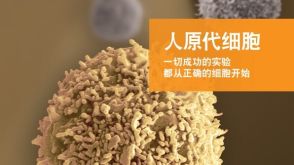 人原代细胞: 一切成功的实验都从正确的细胞开始