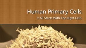Human Primary Cells: It All Starts with the Right Cells