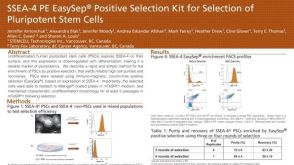 SSEA-4 Pe EasySep™ Positive Selection Kit for Selection of Pluripotent Stem Cells