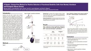 Column-Free Positive Selection of Functional Dendritic Cells from Mouse Strains