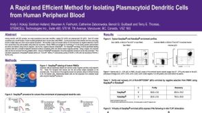 Isolation of Plasmacytoid Dendritic Cells from Peripheral Blood