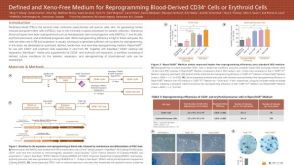 Defined and Xeno-Free Medium for Reprogramming Blood-Derived CD34+ Cells or Erythroid Cells