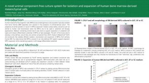 A Novel Animal Component-Free Culture System for Isolation and Expansion of Human Bone Marrow-Derived Mesenchymal Cells