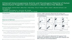 Enhanced Immunosuppressive Activity and Chondrogenic Potential of Human Mesenchymal Progenitor Cells Cultured in a Novel Xeno-Free Medium