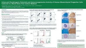 Enhanced Chondrogenic Potential and Immunosuppressive Activity of Human Mesenchymal Progenitor Cells Cultured in a Novel Xeno-Free Culture Medium