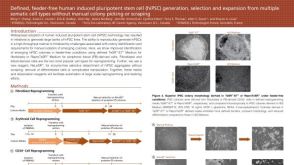 Defined, Feeder-Free Human Induced Pluripotent Stem Cell (hiPSC) Generation, Selection and Expansion from Multiple Somatic Cell Types