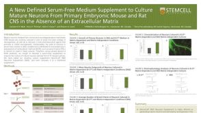 A New Defined Serum-Free Medium Supplement to Culture Mature Neurons from Primary Embryonic Mouse and Rat CNS