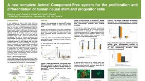 A New Complete Animal Component-Free System for the Proliferation and Differentiation of Human Neural Stem and Progenitor Cells