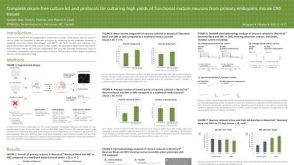 Complete Serum-Free Culture Kit and Protocols for Culturing High Yields of Functional Mature Neurons from Primary Embryonic Mouse CNS Tissues