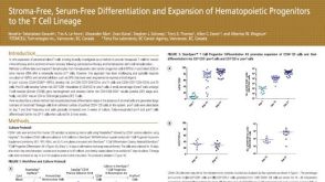 Stroma-Free, Serum-Free Differentiation and Expansion of Hematopoietic Progenitors to the T Cell Lineage