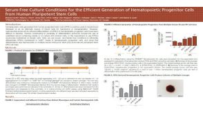 Efficient Differentiation of Human Pluripotent Stem Cells to Hematopoietic Progenitor Cells in Serum-Free Culture Conditions
