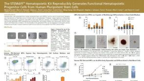 The STEMdiff Hematopoietic Kit Reproducibly Generates Functional Hematopoietic Progenitor Cells from Human Pluripotent Stem Cells