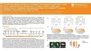 CRISPR-Cas9 Gene Editing Of CDK5RAP2 In Human Pluripotent Stem Cells