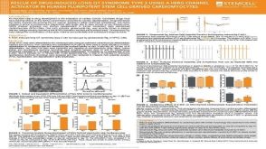 Rescue of Drug-Induced Long QT Syndrome Type 2 Using a hERG Channel Activator