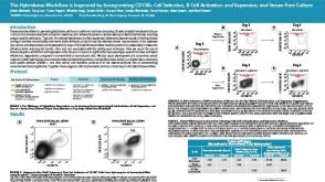 The Hybridoma Workflow is Improved by Incorporating CD138+ Cell Selection