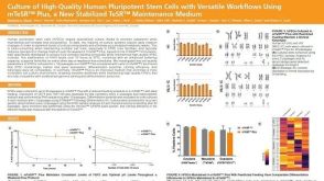 Culture of High-Quality Human Pluripotent Stem Cells with Versatile Workflows Using mTeSR™ Plus