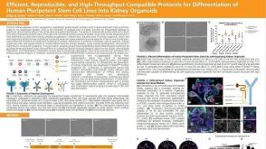 Efficient, Reproducible and High-Throughput-Compatible Protocols