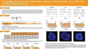 Routine Monitoring of Common Genetic Abnormalities in Human Pluripotent Stem Cells