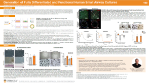 Generation of Fully Differentiated and Functional Human Small Airway Cultures