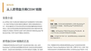 从人脐带血分离CD34+细胞