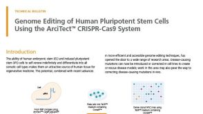Human Pluripotent Stem Cell Genome Editing Using the ArciTect™ CRISPR-Cas9 System