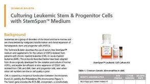 Culture and Expansion of Chronic Myeloid Leukemia Cells
