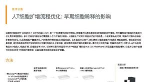 人T细胞扩增流程优化:早期细胞稀释的影响