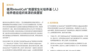 使用IntestiCult™类器官生长培养基（人）培养癌症组织来源的类器官