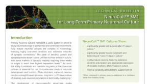 NeuroCult™ SM1 for Long-Term Primary Neuronal Culture
