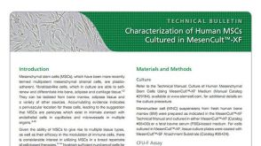 Characterization of Human MSCs Cultured in MesenCult™-XF