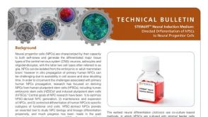 STEMdiff™ Neural Induction Medium