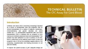The Colony-Forming Cell (CFC) Assay for Cord Blood