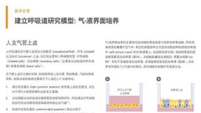 建立呼吸道研究模型:气-液界面培养