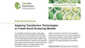iCell® Neural Products: Applying Transfection Technologies to Create Novel Screening Models
