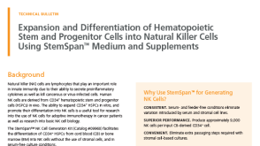 Expansion and Differentiation of Hematopoietic Stem and Progenitor Cells into Natural Killer Cells
