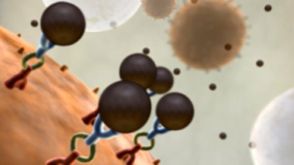 EasySep&trade;: Powerful Immunomagnetic Isolation of Virtually Any Cell Type